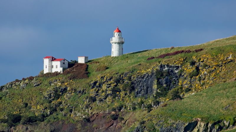 Taiaroa Head Lighthouse, NZ